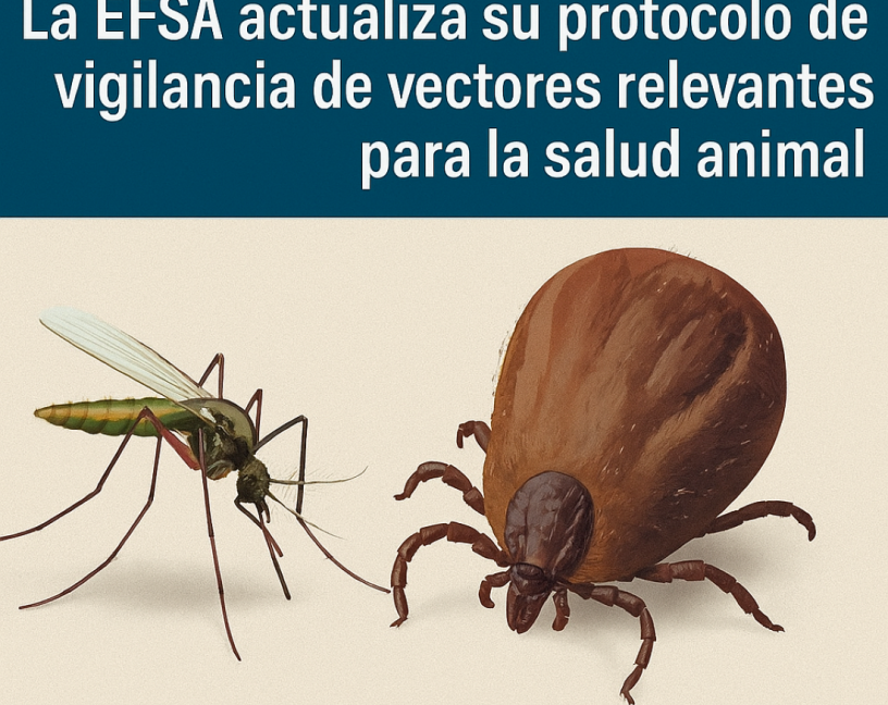 La EFSA actualiza su protocolo de vigilancia de vectores relevantes para la salud animal