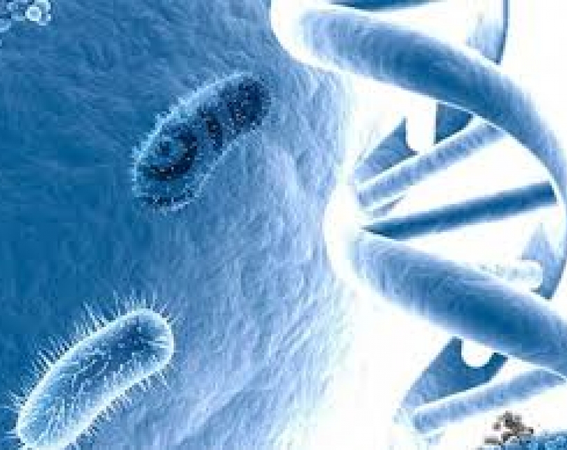 Etiquetas en lugar de hisopos, ¿el futuro del muestreo microbiológico?