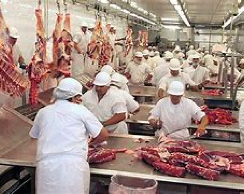 Guía para la prevención y control de Covid-19 en las industrias de la carne