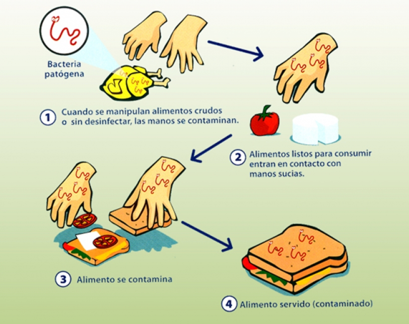 La CE actualiza el Reglamento 852/2004 sobre higiene de los productos alimenticios