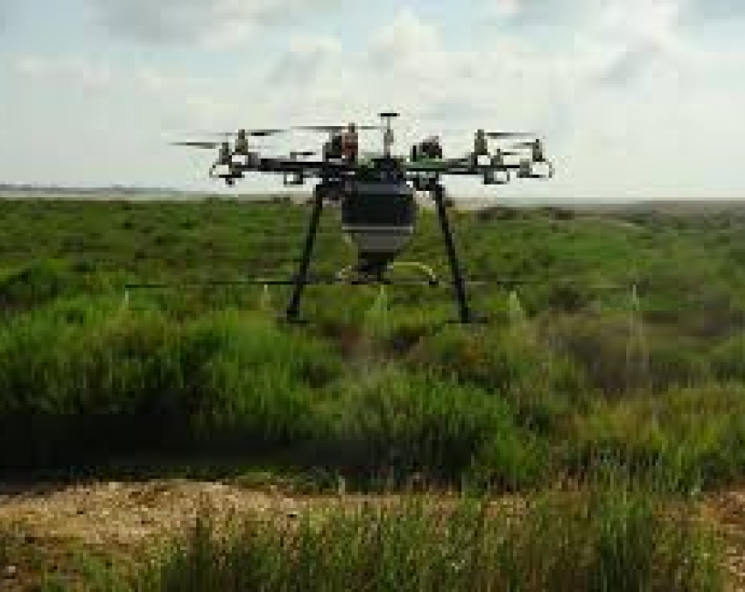 Control de mosquitos-Los drones volarán a diario