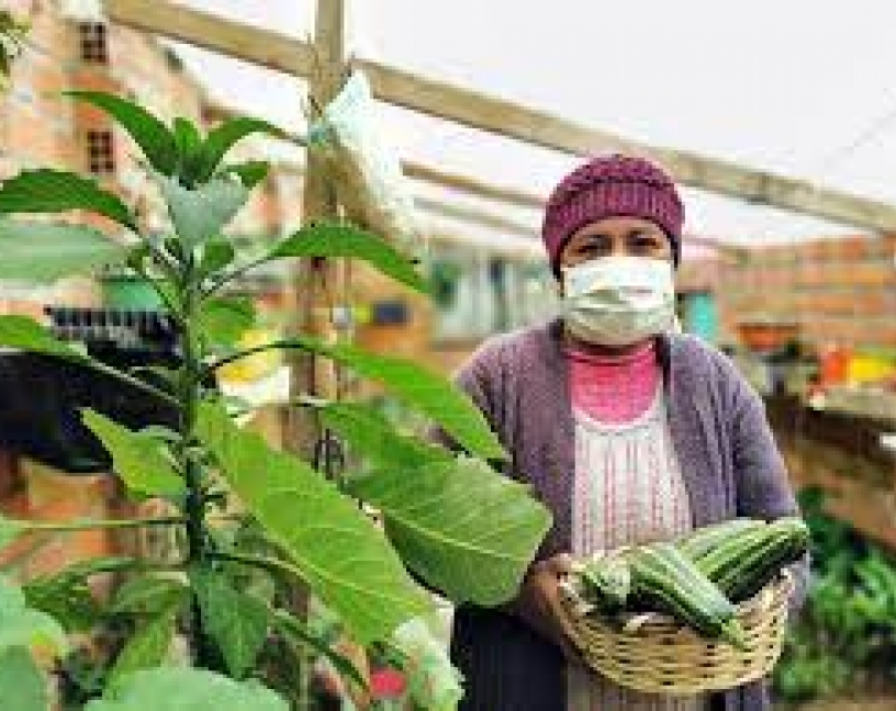 Covid-19 en la industria alimentaria, la FAO actualiza su guia para prevenir la transmisión