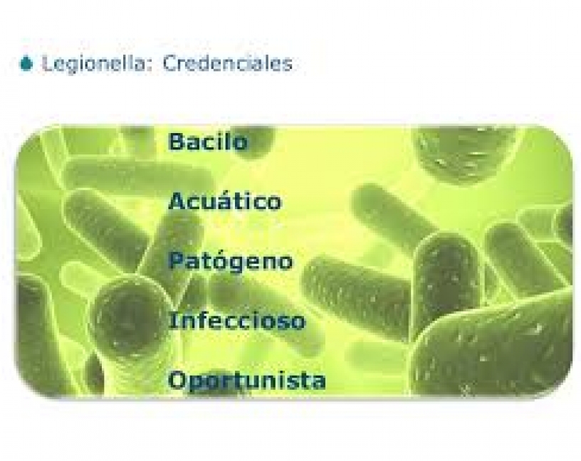 El cambio climático favorece la propagación de la Legionella