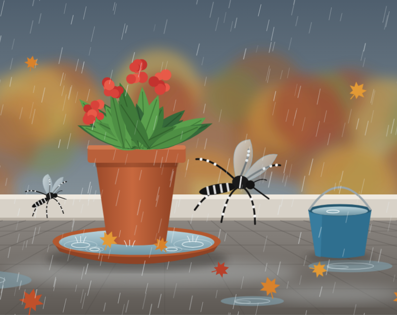 El mosquito tigre no se va de vacaciones: por qué las lluvias de otoño son el momento clave para prevenir