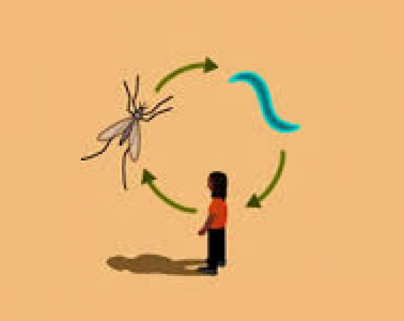 Paludismo y zoonosis emergentes en España: I Encuentro científico en Losar de la Vera