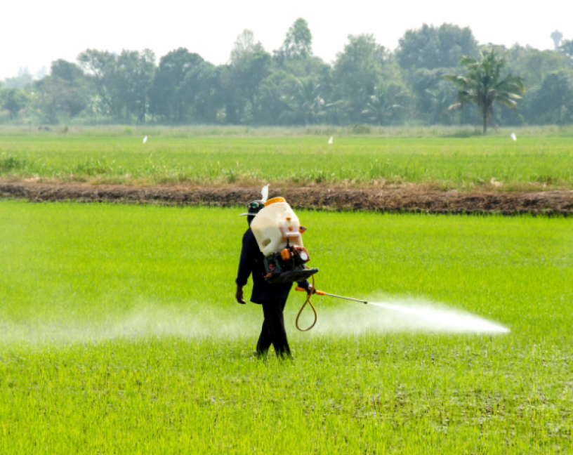 Límites máximos de residuos de plaguicidas en los alimentos