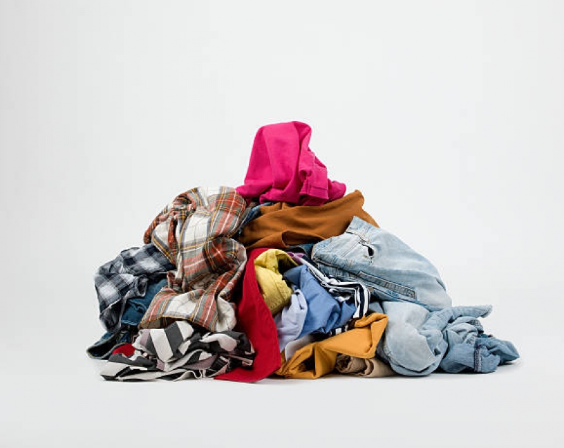 La ropa sucia de los viajeros contribuye a la expansión de las chinches