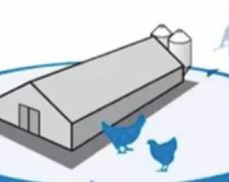 El factor higiene en la producción avícola sostenible
