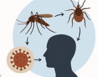 La importancia de las enfermedades zoonóticas y sus vectores en la salud humana