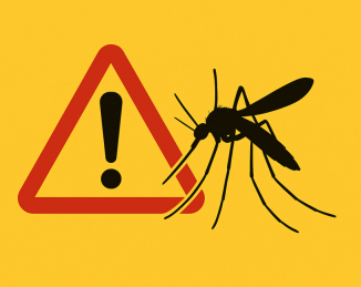 Cataluña activa protocolos de vigilancia y control contra enfermedades transmitidas por mosquitos