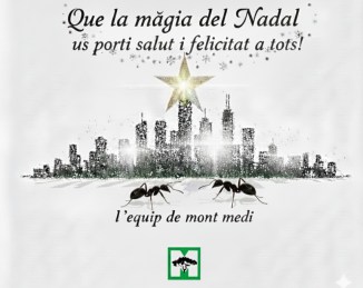 Bones Festes - Felices Fiestas