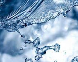 Los bacteriófagos ganan interés como indicadores de la calidad del agua