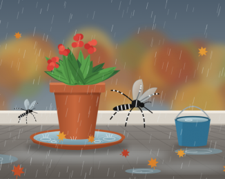 El mosquito tigre no se va de vacaciones: por qué las lluvias de otoño son el momento clave para prevenir