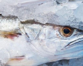 Anisakis, nuevas normas UNE para la detección de larvas en el pescado
